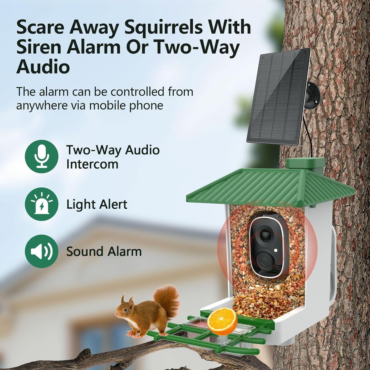 Smart Bird Feeder with Camera Solar Powered, 2K HD Wifi Live View Bird Feeders for Outdoors, AI Birds Recognition & Instant Alerts,Weatherproof Design – Best Gift for Birdlovers & Garden Birdwatching