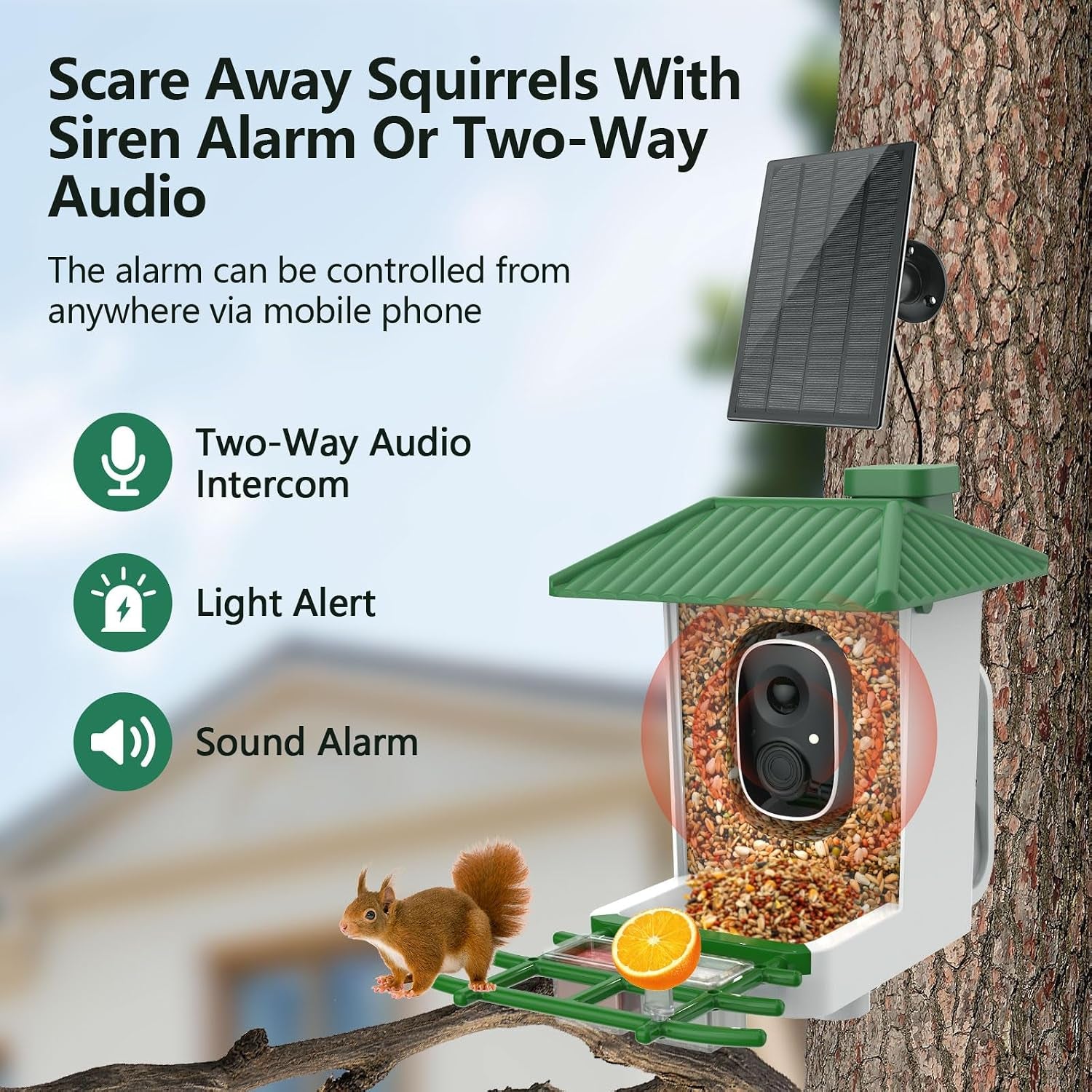 Smart Bird Feeder with Camera Solar Powered, 2K HD Wifi Live View Bird Feeders for Outdoors, AI Birds Recognition & Instant Alerts,Weatherproof Design – Best Gift for Birdlovers & Garden Birdwatching