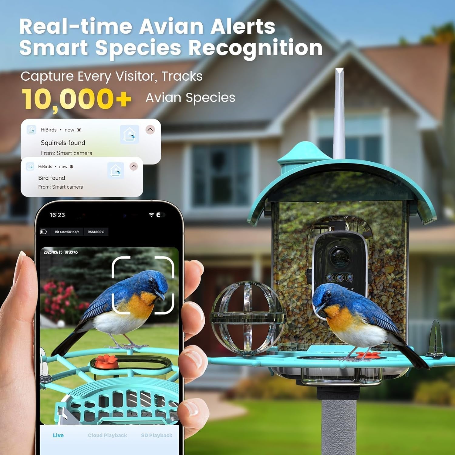 Smart Bird Feeder with Camera, AI Identify Birds Species Solar Powered, 2K HD Video Bird House with Camera, Instant Arrival Alerts, Waterproof Squirrel Proof, Gift for Birdlovers, 2.4Ghz Wifi, Blue