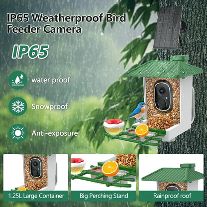 Smart Bird Feeder with Camera Solar Powered, 2K HD Wifi Live View Bird Feeders for Outdoors, AI Birds Recognition & Instant Alerts,Weatherproof Design – Best Gift for Birdlovers & Garden Birdwatching