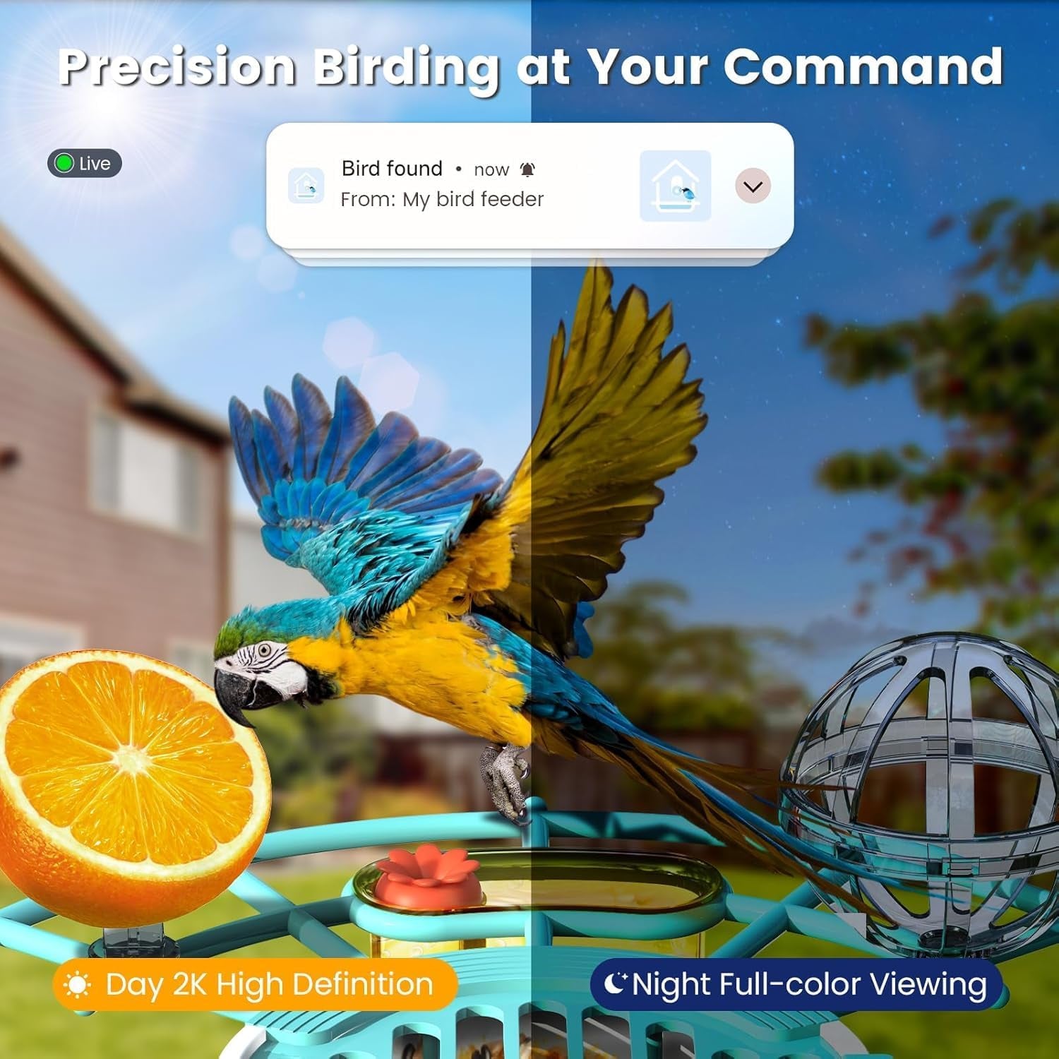Smart Bird Feeder with Camera, AI Identify Birds Species Solar Powered, 2K HD Video Bird House with Camera, Instant Arrival Alerts, Waterproof Squirrel Proof, Gift for Birdlovers, 2.4Ghz Wifi, Blue