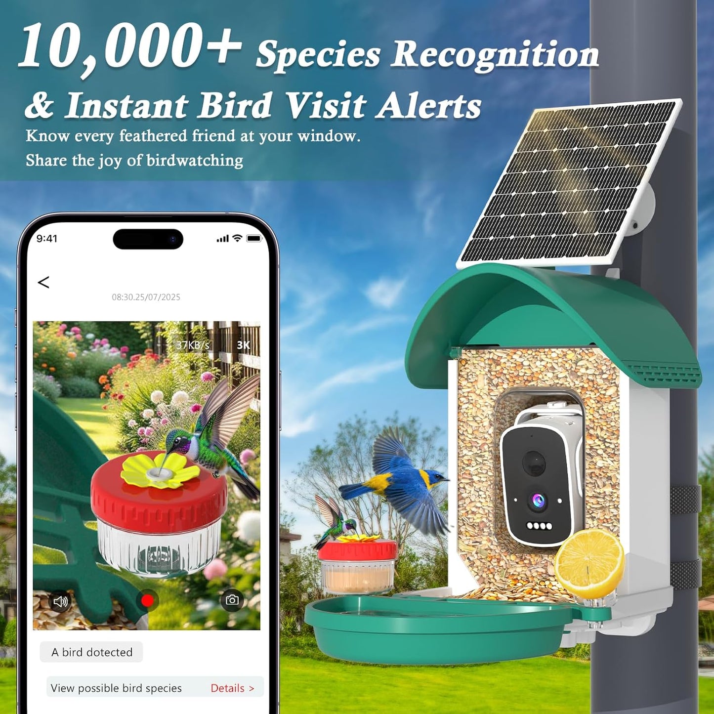 Smart Bird Feeder with Camera, 3K AI Bird Camera & Bath | Solar Powered Wireless Outdoor Bird House with Spill-Proof Net. Backyard Bird Watching Gift Idea for Bird Lovers